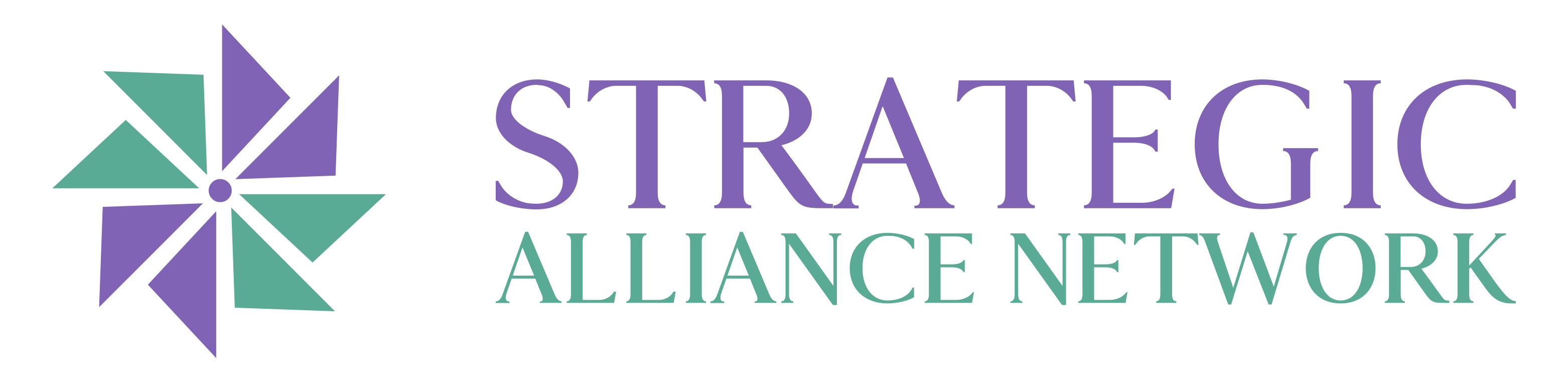 Strategic Alliance Network